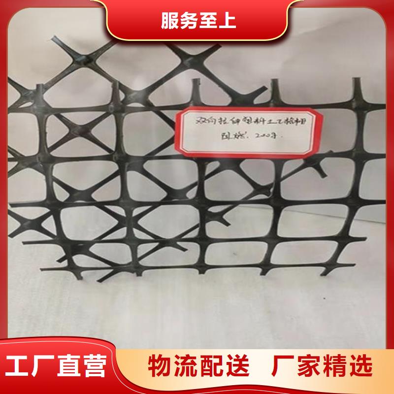 玻纖格柵-路基土工格柵