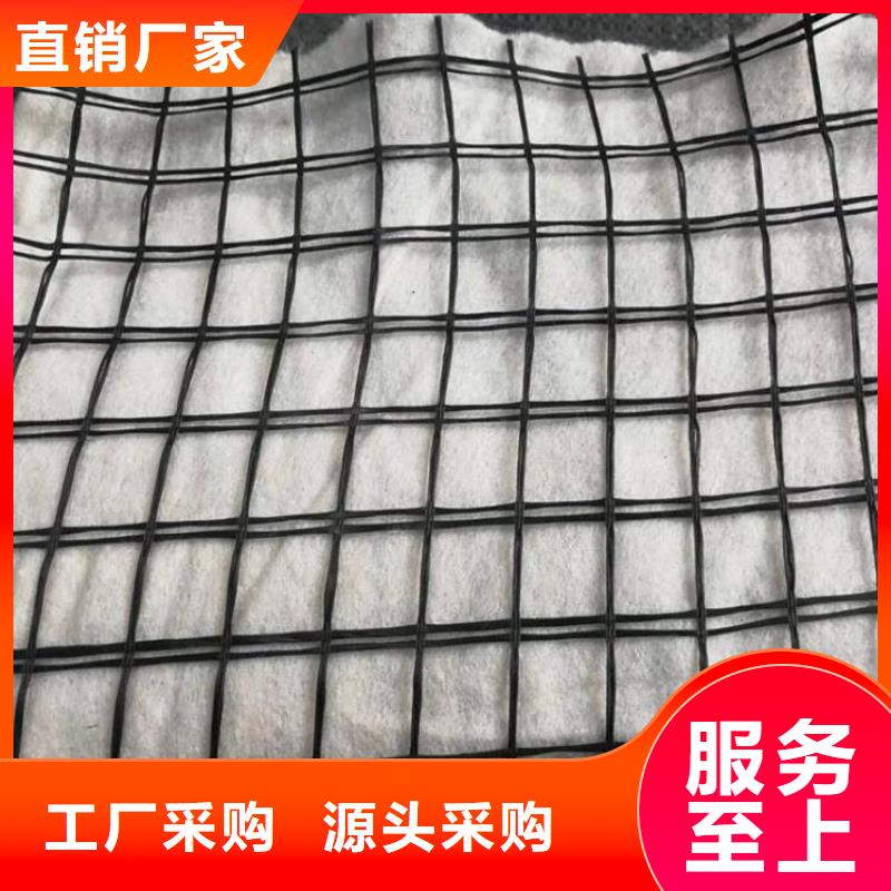 玻璃纖維格柵-礦用土工格柵