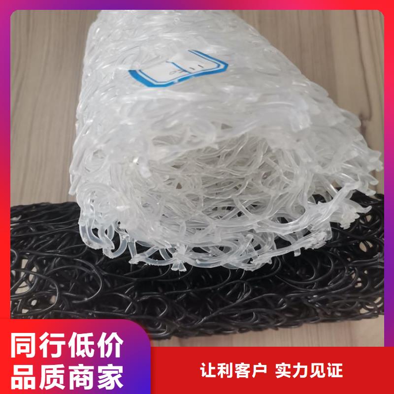 塑料盲溝-DN200250mm透水排水盲管