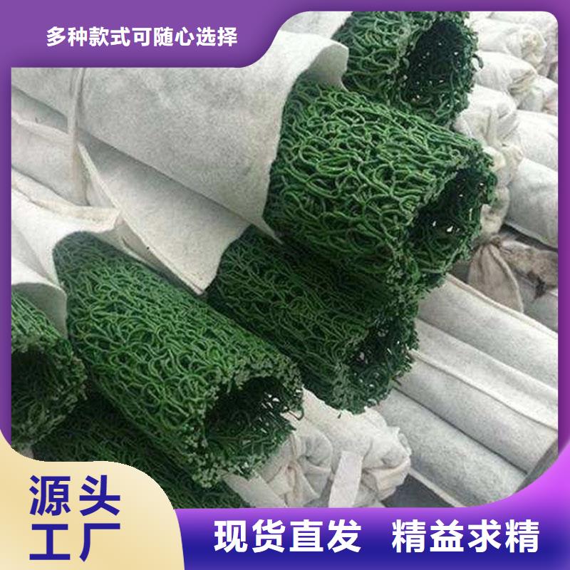 滲排水盲溝