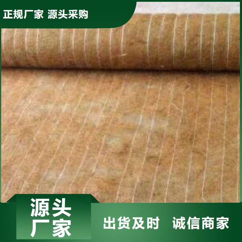 椰纖植生毯價格新聞