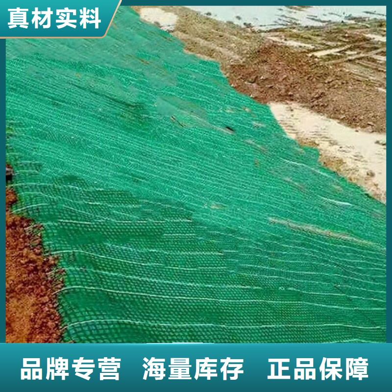 加筋抗沖生態(tài)毯-抗老化植草毯