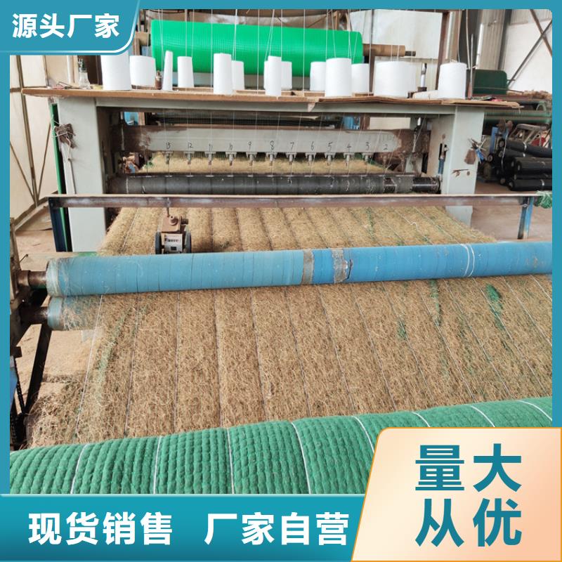 加筋抗沖生態毯