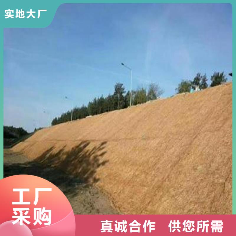 椰纖植生毯加筋抗沖生物毯來廠考察