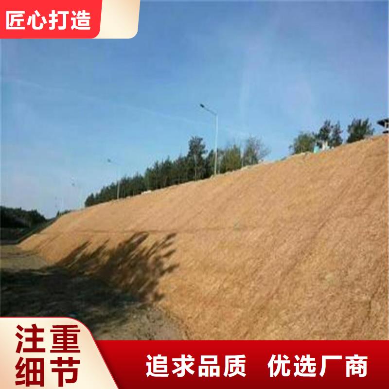 椰纖植生毯生態環保草毯