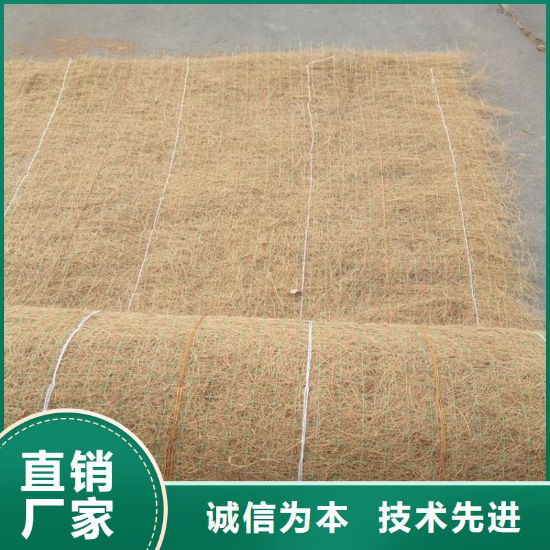 護坡植被植草毯-椰纖植生毯場