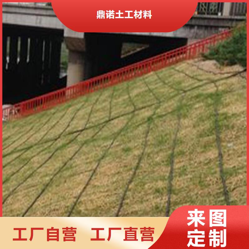 椰纖植生毯-水保植生毯