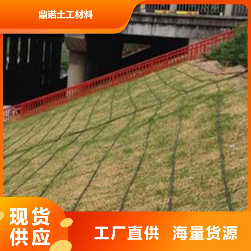 椰絲毯-加筋生態毯-護坡椰絲毯
