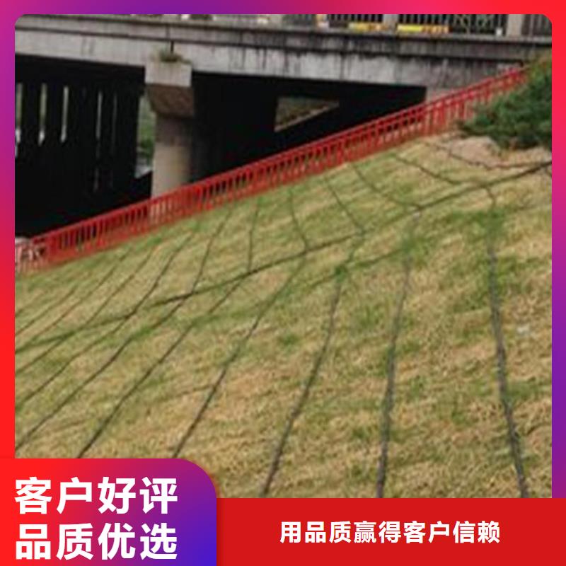 椰絲植生毯-椰絲植物毯-護坡草毯