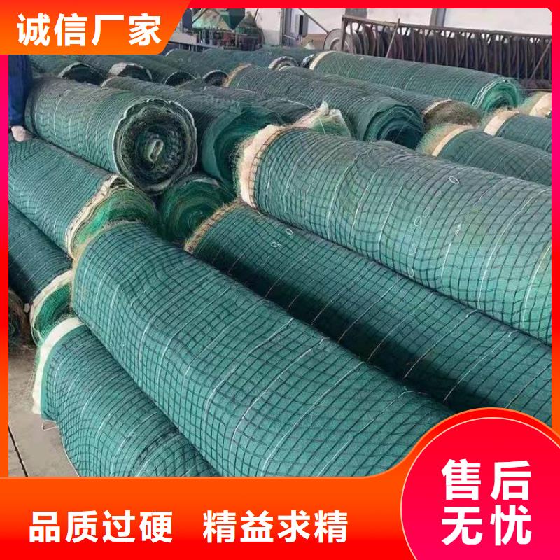 加筋抗沖生物毯型號密度