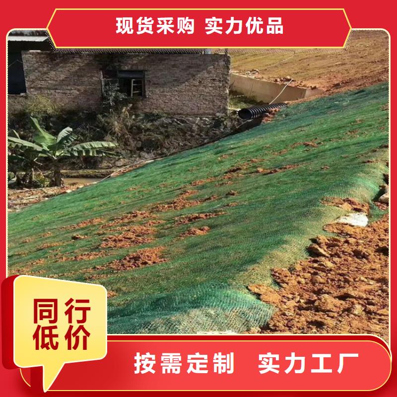 椰纖植生毯加筋抗沖生物毯來廠考察