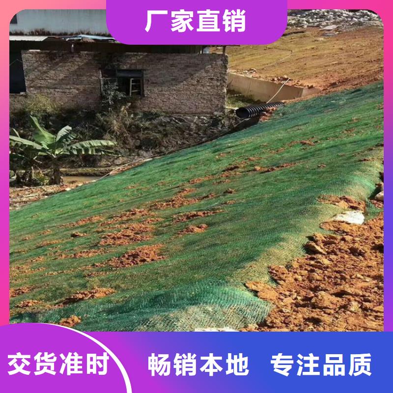 秸稈植被纖維毯椰絲植被毯