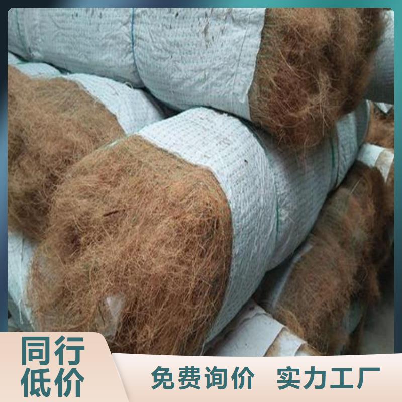 椰纖植生毯-椰纖毯