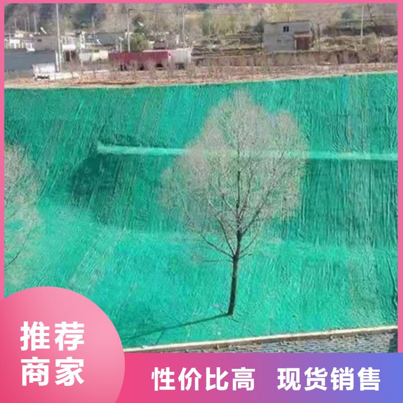 椰絲毯-生態(tài)毯-椰絲草毯