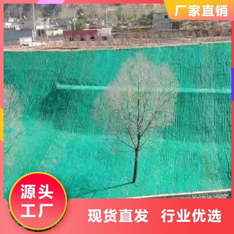 加筋抗沖生態(tài)毯-抗老化植草毯