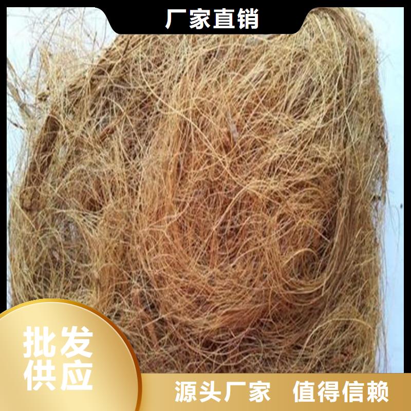 植物纖維毯設(shè)計