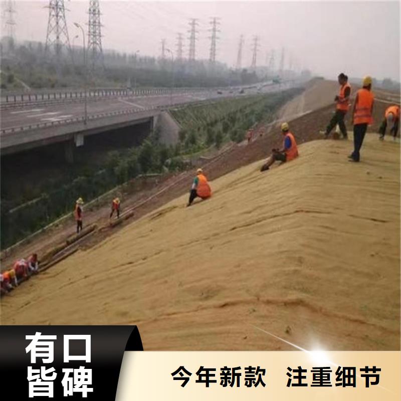 椰絲毯土工格柵現貨直發