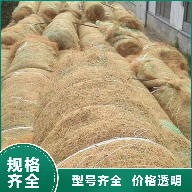 植生椰絲毯生產廠家-哪里有賣的