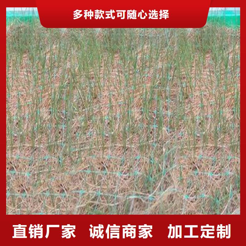 椰纖植生毯
