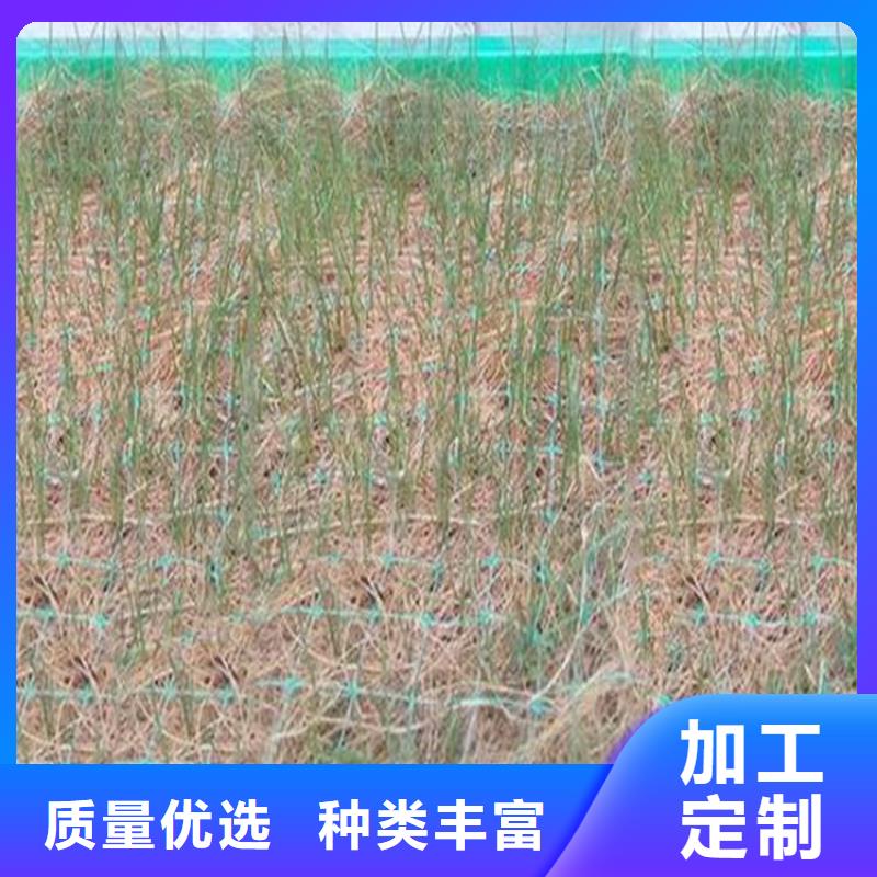 椰丝毯_植草格质优价保