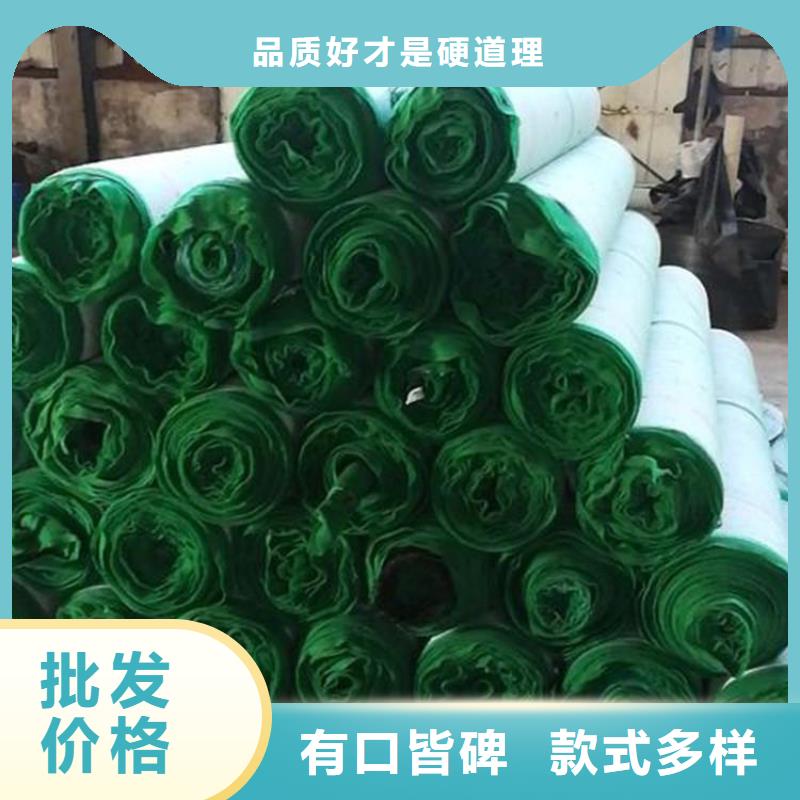 加筋抗沖生態(tài)毯-加筋草籽毯