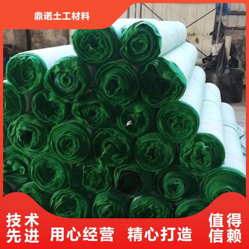 加筋植物纖維毯-護坡生態毯-草種植生毯