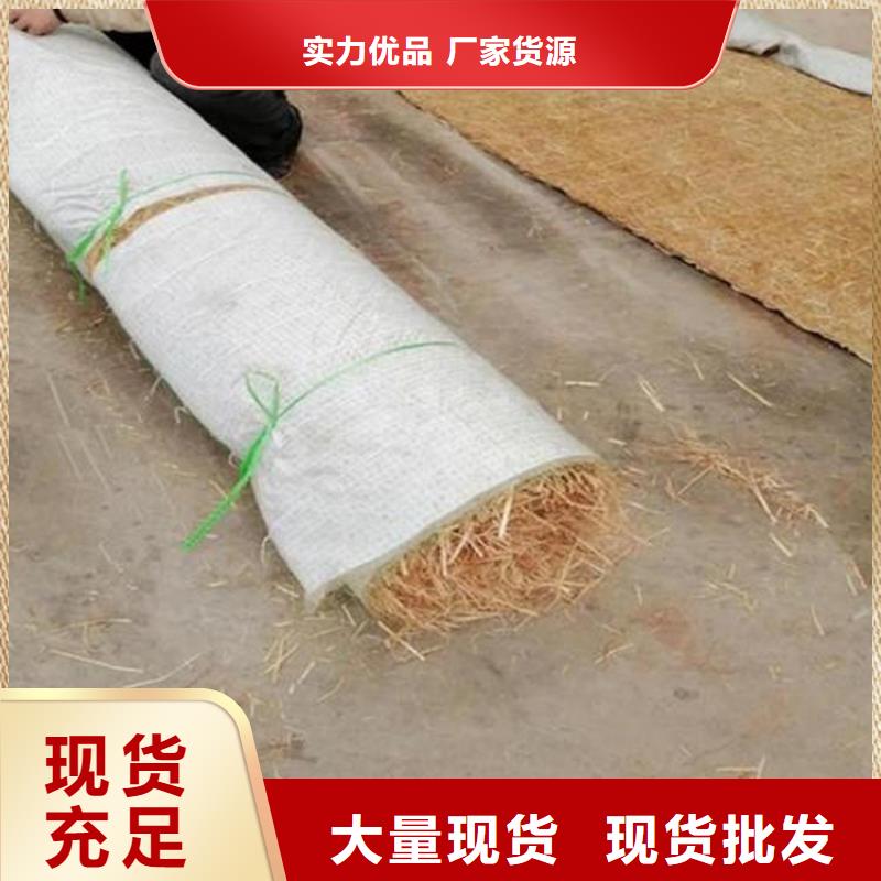 植物生態防護毯加筋抗沖生態毯公司-供應