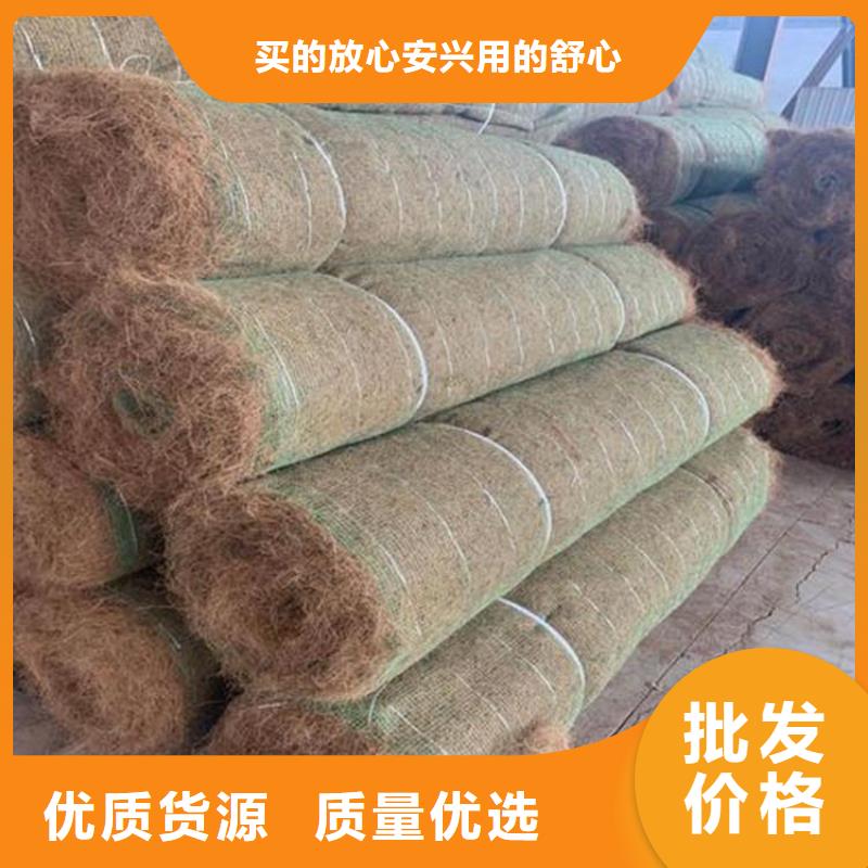 抗沖生態(tài)毯-椰絲毯土工格柵-河道護坡植生毯