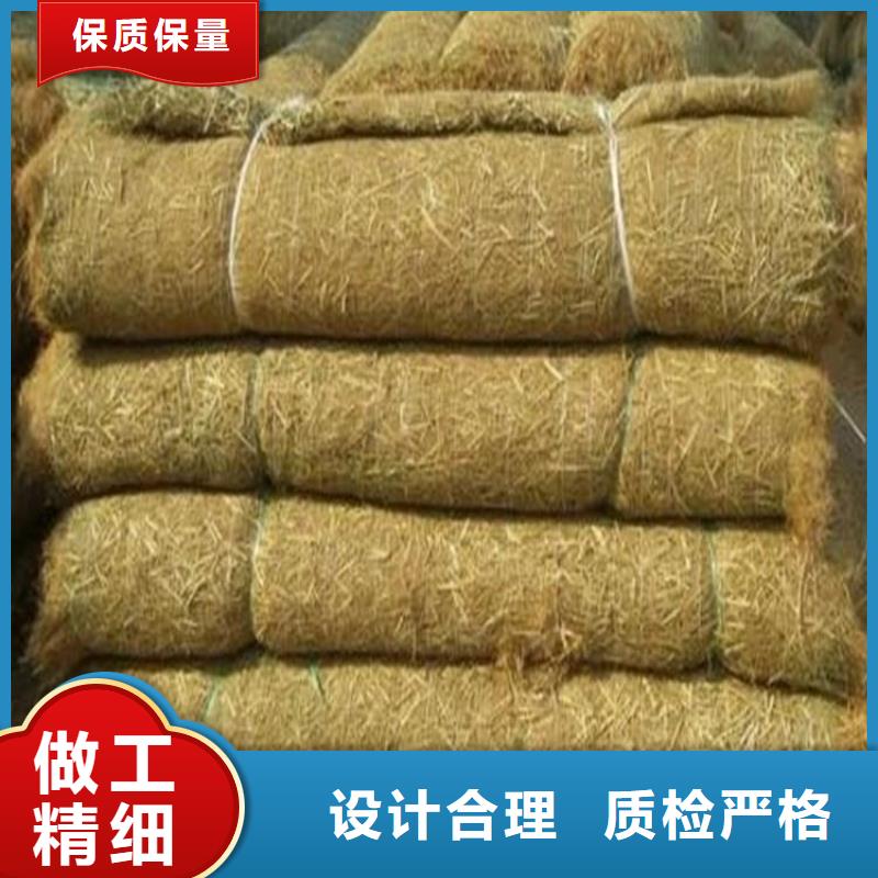 椰絲植生毯-抗沖刷生物毯-抗沖毯