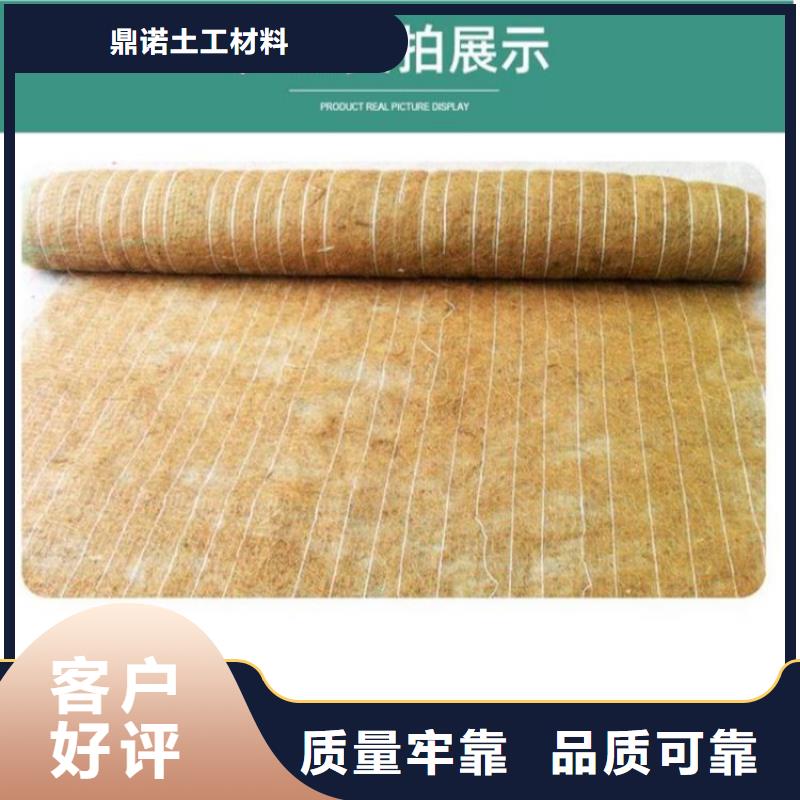 椰絲生態毯草種抗沖生物毯