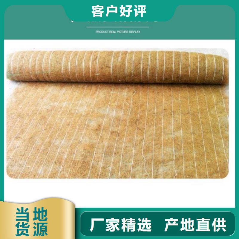 植物生態防護毯加筋抗沖生態毯公司-供應
