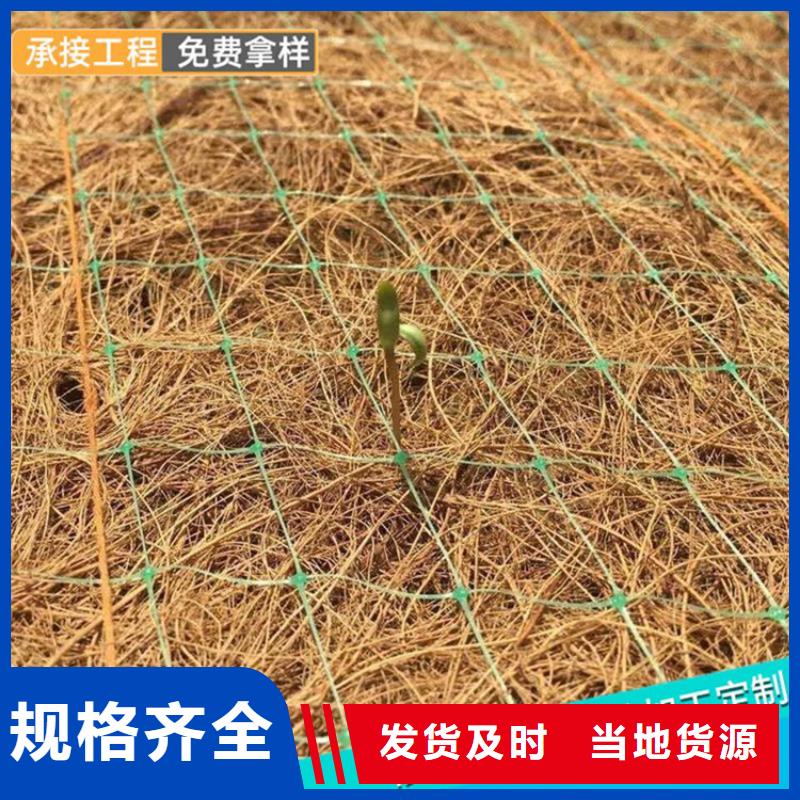椰纖植生毯價格新聞