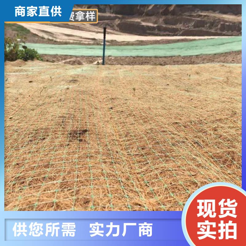 加筋抗沖生態毯