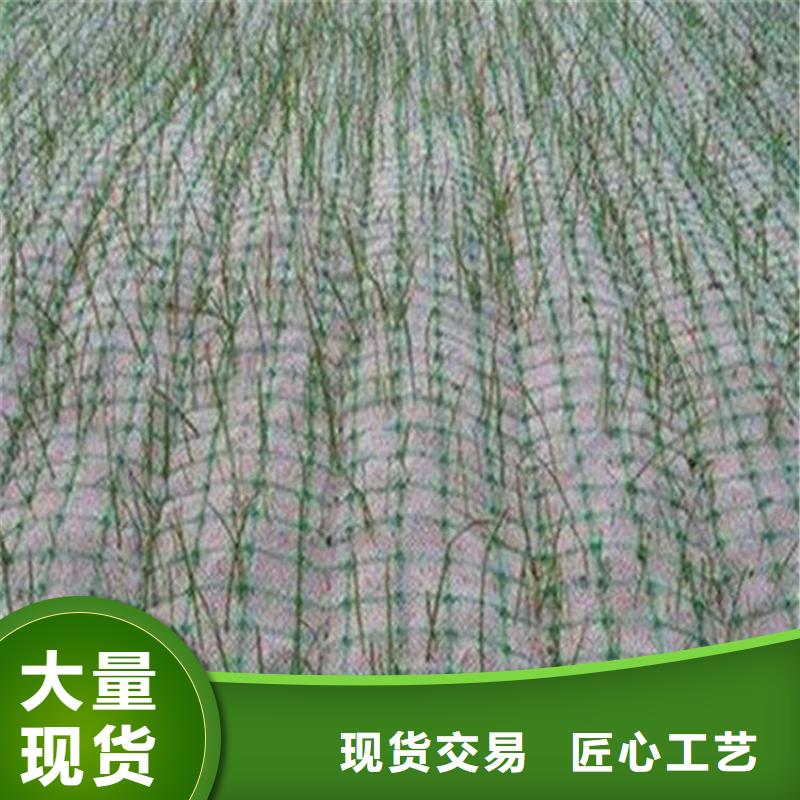 生態(tài)環(huán)保草毯規(guī)格顏色
