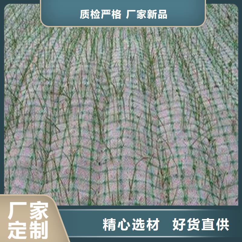 植物纖維毯資訊