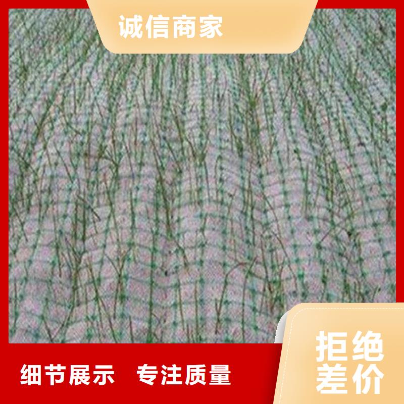椰絲毯土工膜多年行業經驗