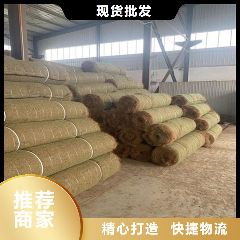 加筋抗沖生態(tài)毯-抗老化植草毯