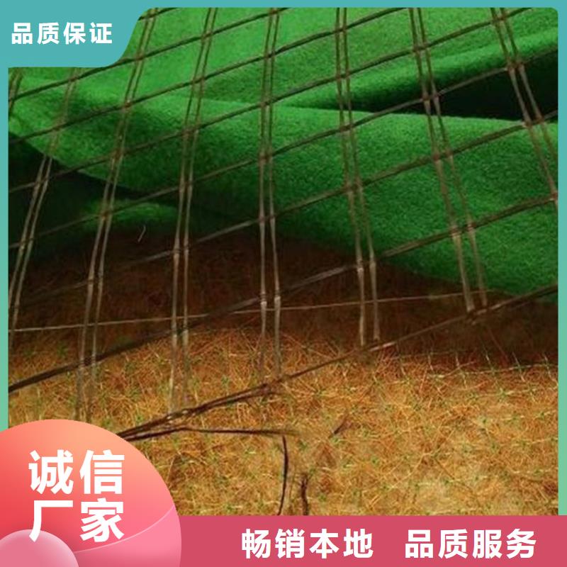護坡植被植草毯-椰纖植生毯場