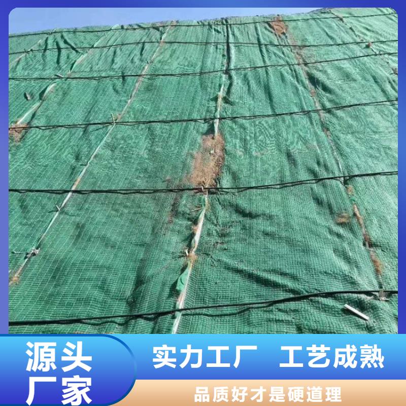 椰絲植生毯-椰絲植物毯-護坡草毯
