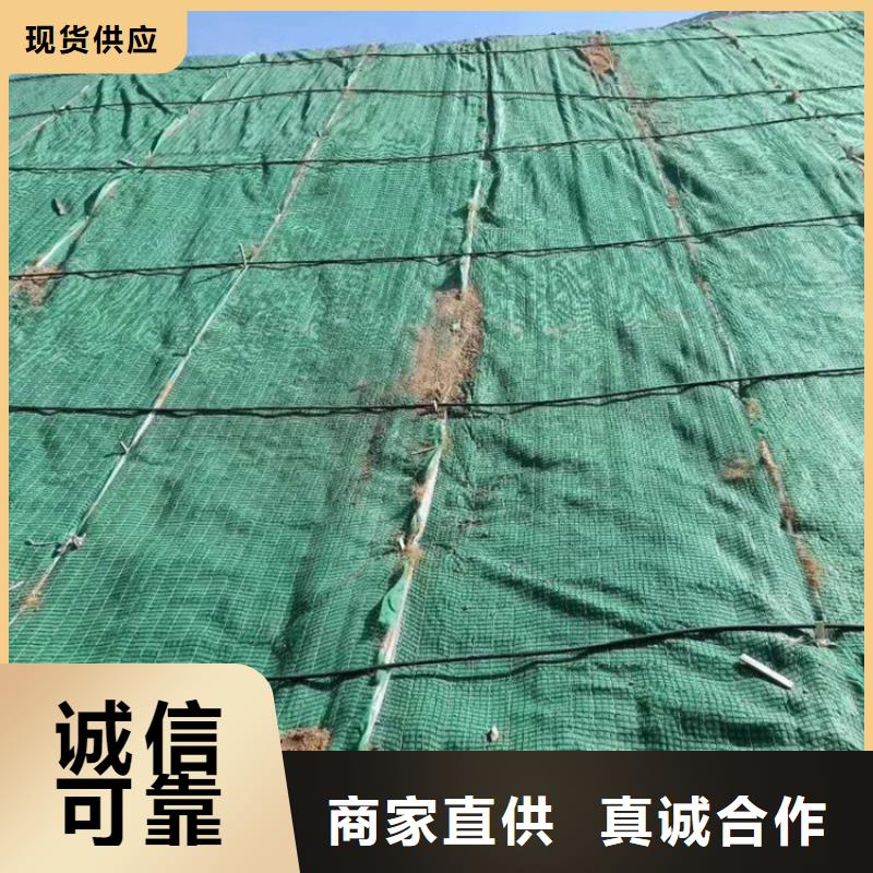 植生椰絲毯-生態毯