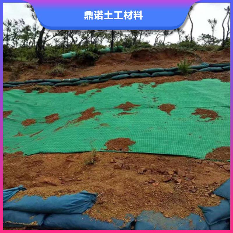 植物生態防護毯-抗沖植物毯