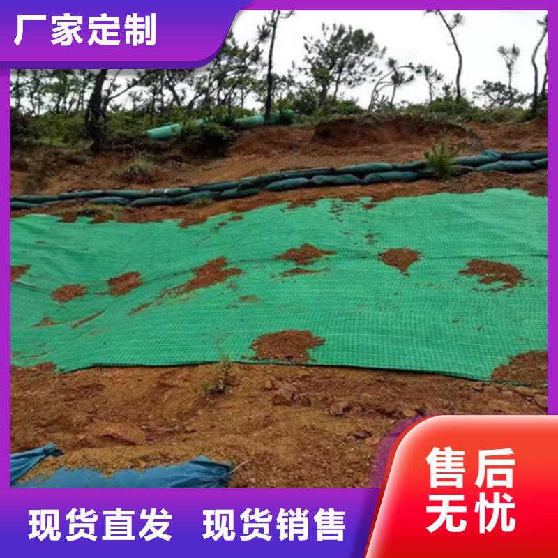 椰纖植生毯生態環保草毯