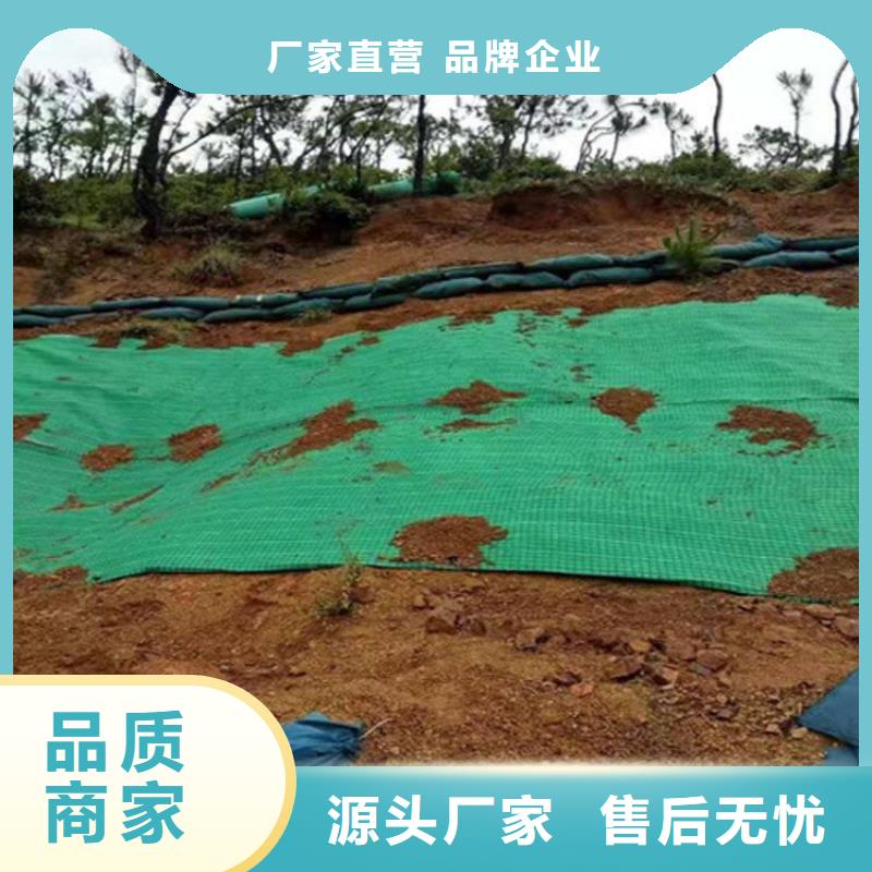 椰纖植生毯-椰纖毯