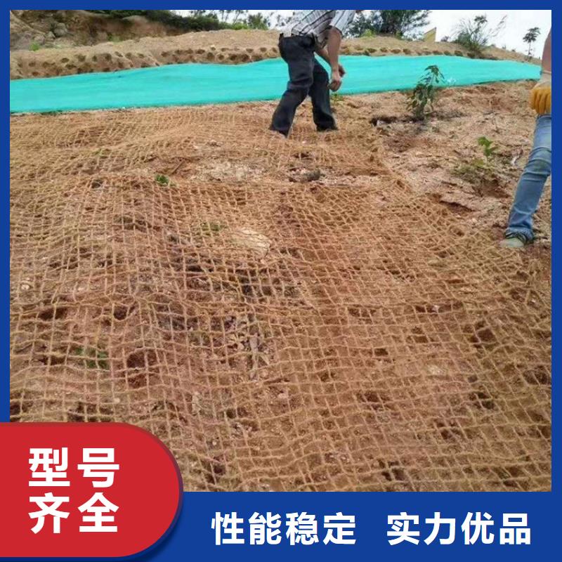 生态环保草毯产品动态已更新