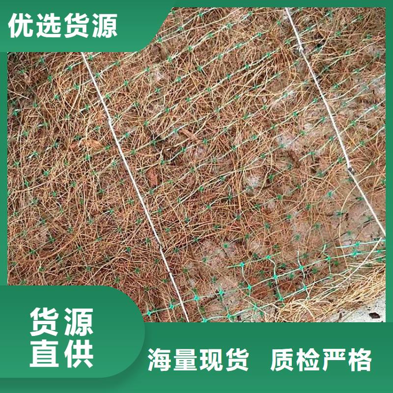 植生椰絲毯-生態毯