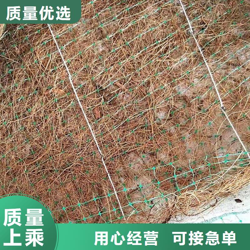 椰纖植生毯加筋抗沖生物毯來廠考察
