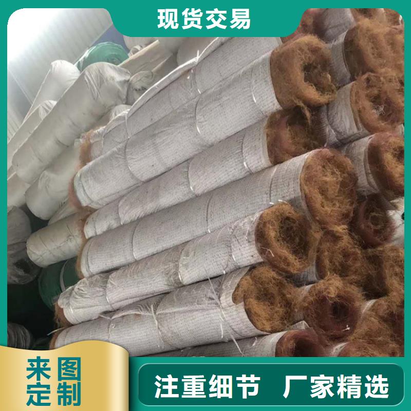 護坡植被植草毯-植物纖維毯資訊詳情