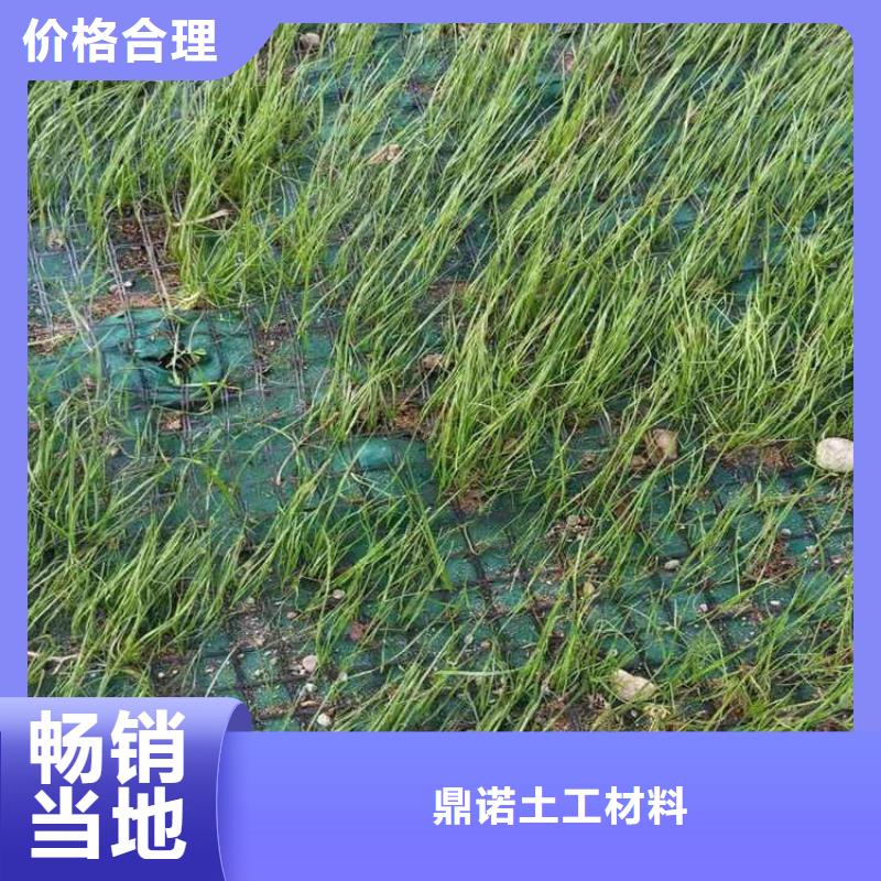 椰纖植生毯價格新聞