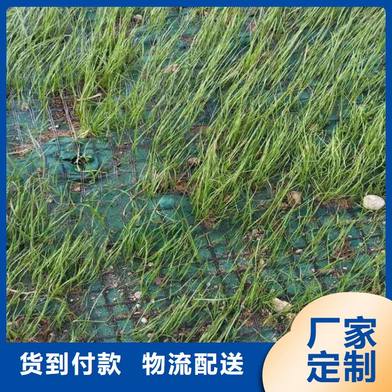 椰絲毯土工格柵多行業(yè)適用