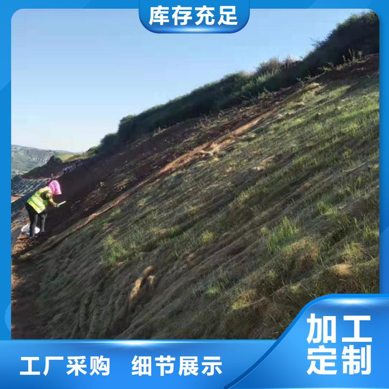 生態環保草毯公司-批發